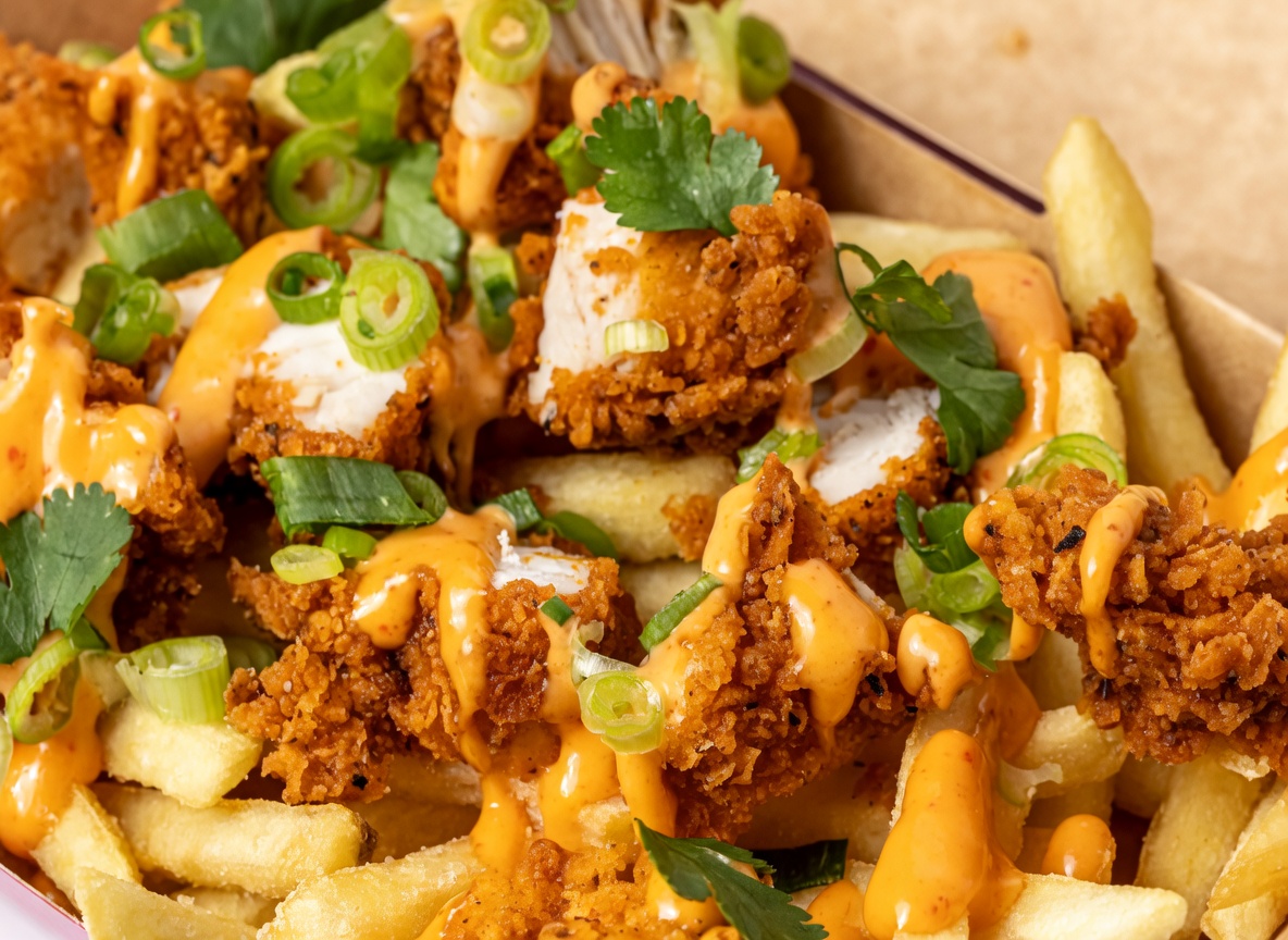 Chicken Katsu Loaded Fries